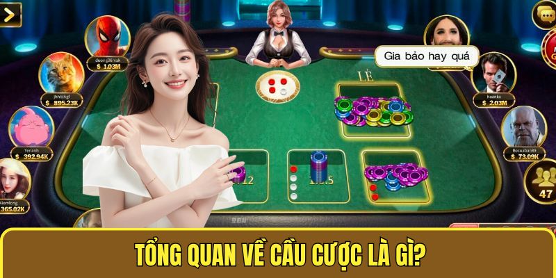 Tổng quan về cầu cược là gì