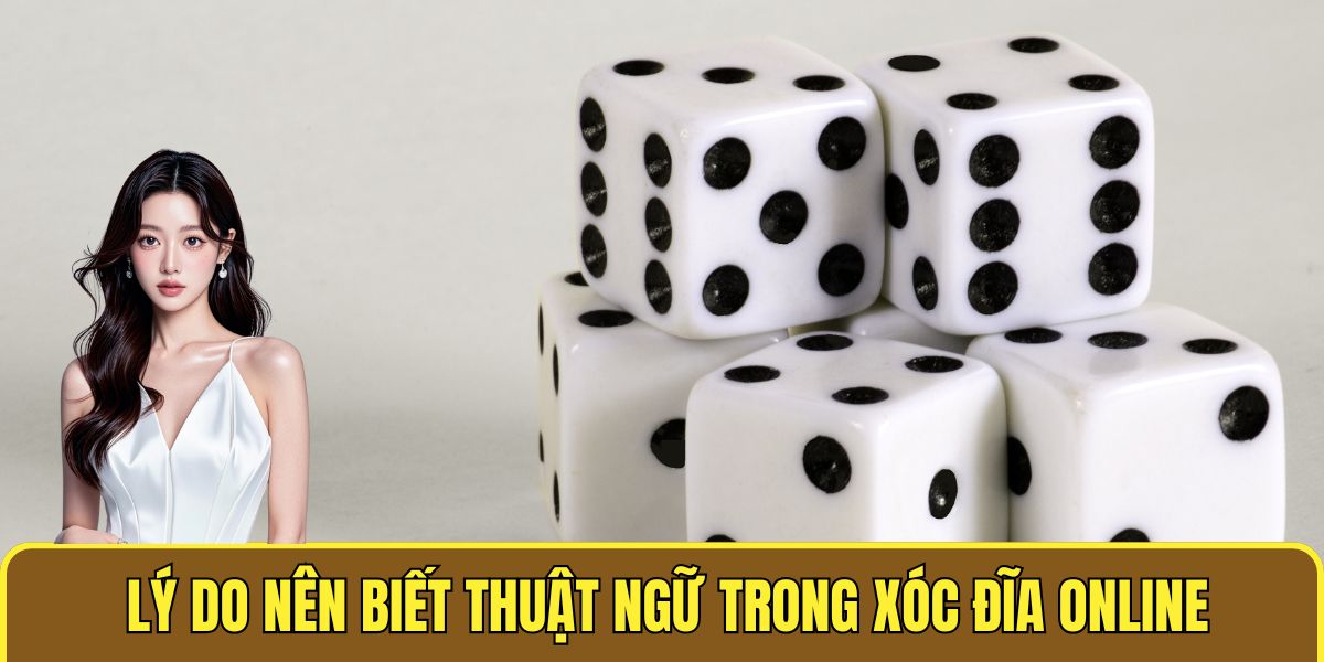 Lý do nên biết thuật ngữ trong xóc đĩa online